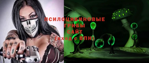 герыч Каменногорск