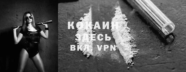 МДПВ Каменка