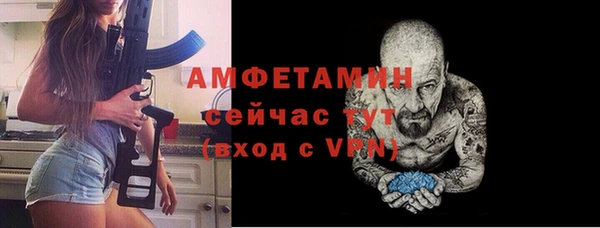 МДПВ Каменка