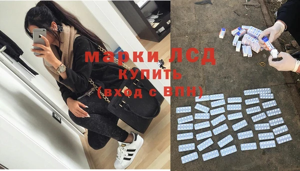 МДПВ Каменка