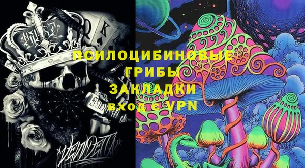 Альфа ПВП Снежинск