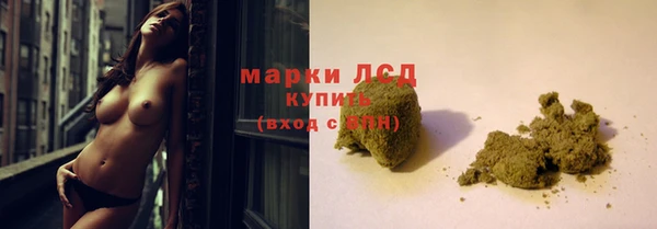 ГАЛЛЮЦИНОГЕННЫЕ ГРИБЫ Касимов