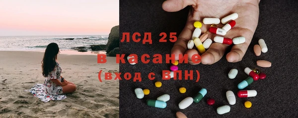 ГАЛЛЮЦИНОГЕННЫЕ ГРИБЫ Касимов
