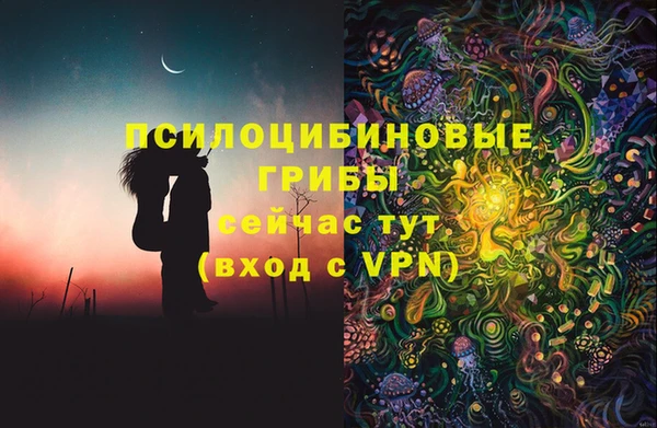ГАЛЛЮЦИНОГЕННЫЕ ГРИБЫ Касимов